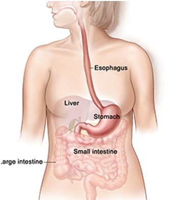 Stomach-Cancer